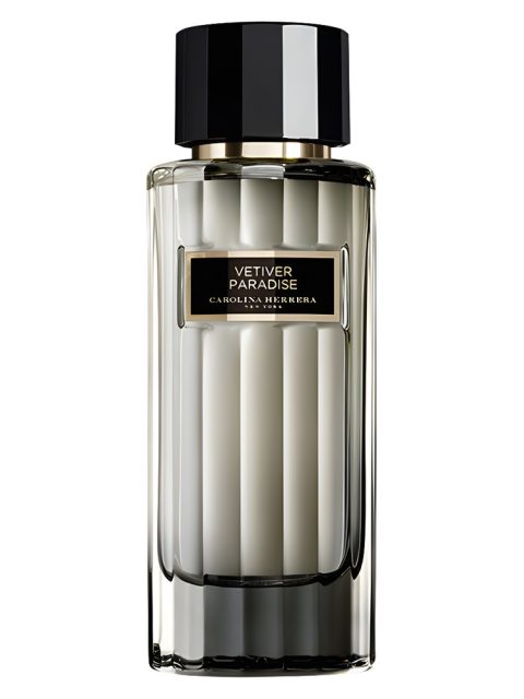 Vetiver Paradise