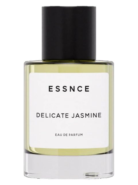 Delicate Jasmine