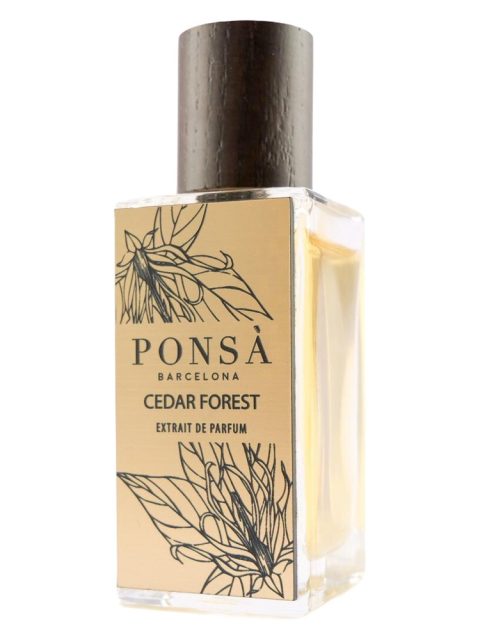 Cedar Forest