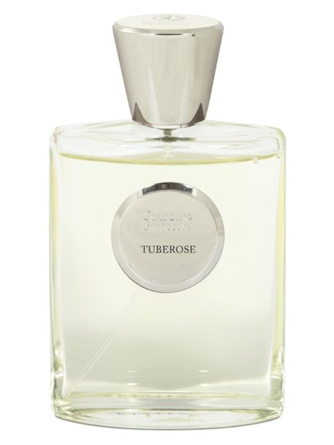 Tuberose