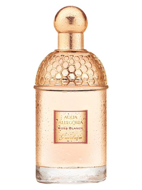 Aqua Allegoria Rosa Blanca