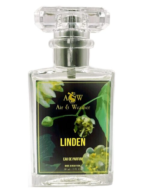 Linden