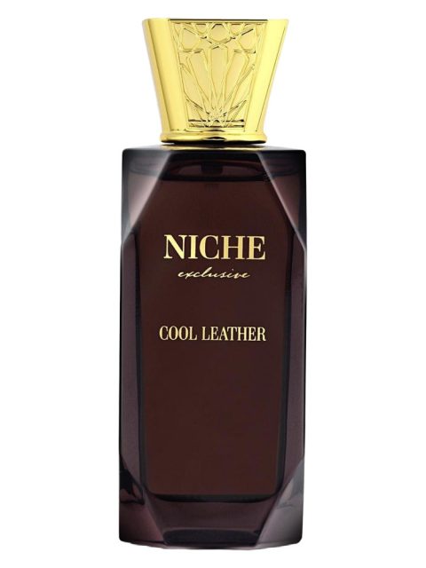 Cool Leather