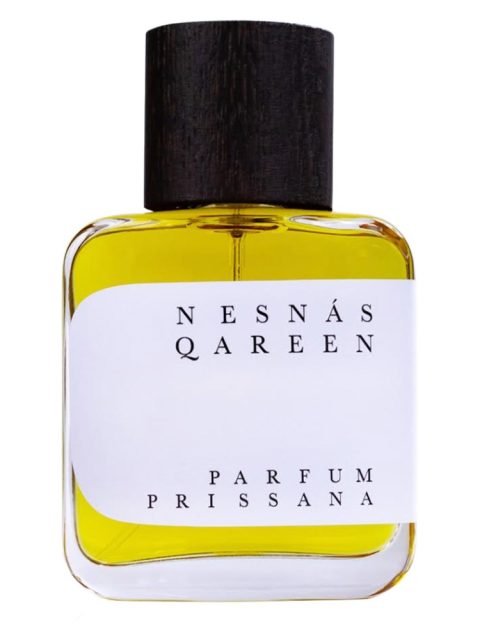 Nesnas Qareen