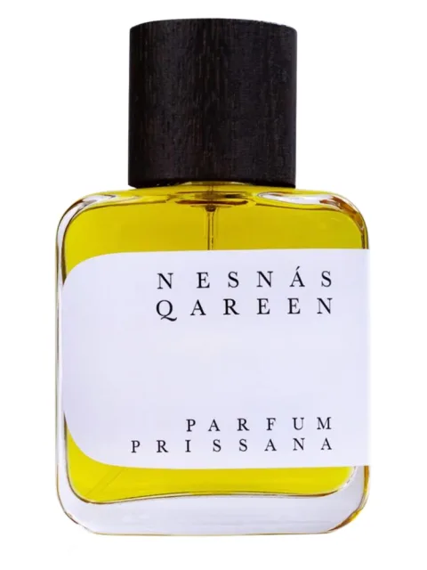 Nesnas Qareen