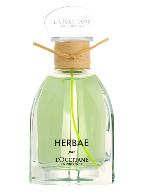 Herbae