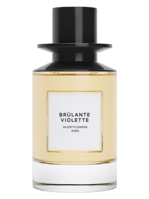 Brulante Violette