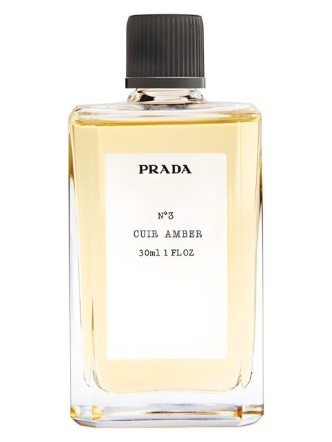 No3 Cuir Amber