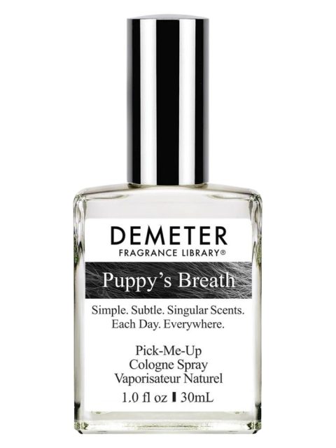 Puppy's Breath