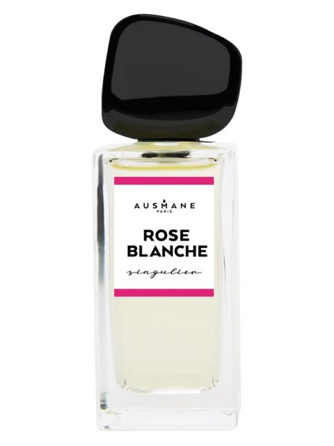 Rose Blanche