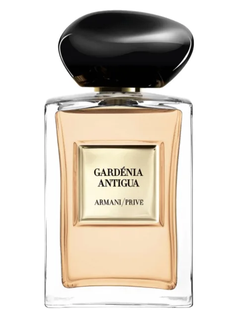Gardénia Antigua