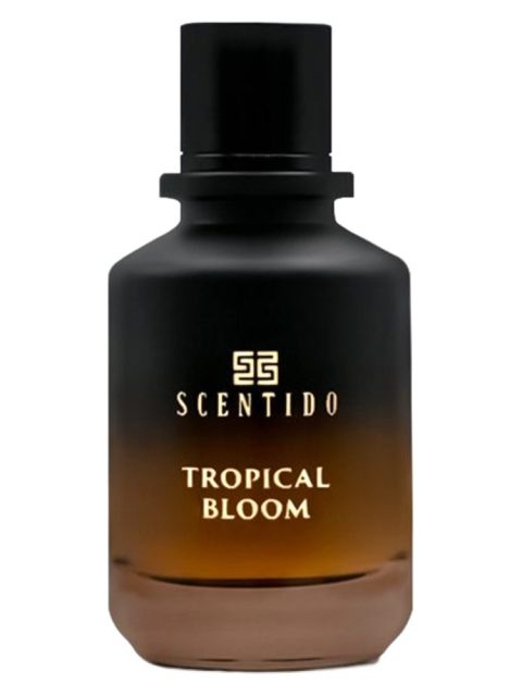 Tropical Bloom