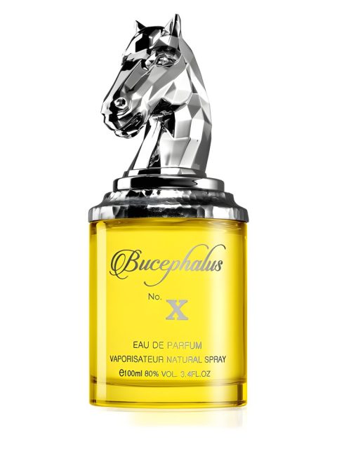 Bucephalus X
