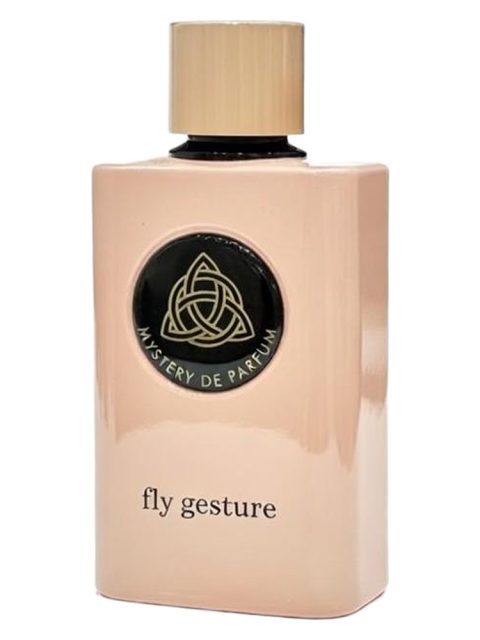 Fly Gesture