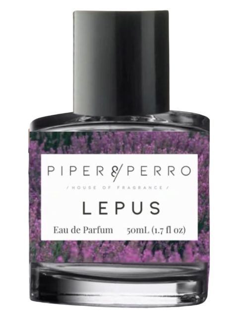 Lepus
