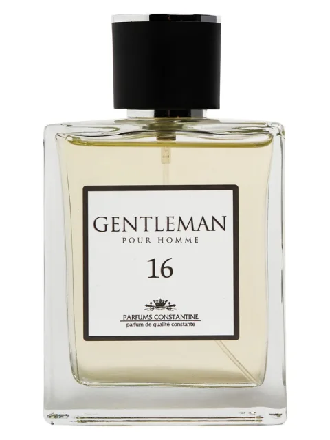 Gentleman N. 16