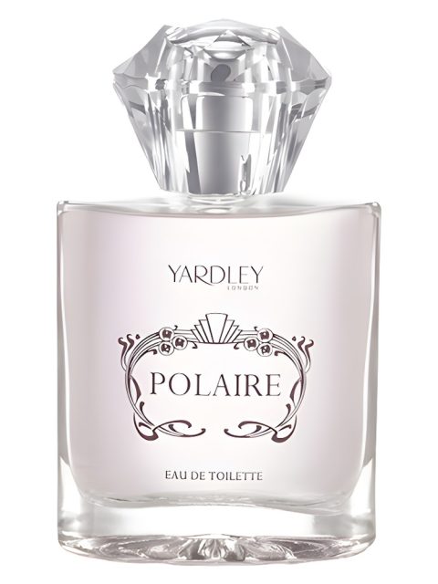 Polaire
