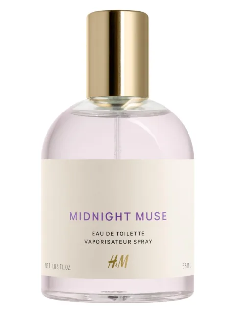 Midnight Muse