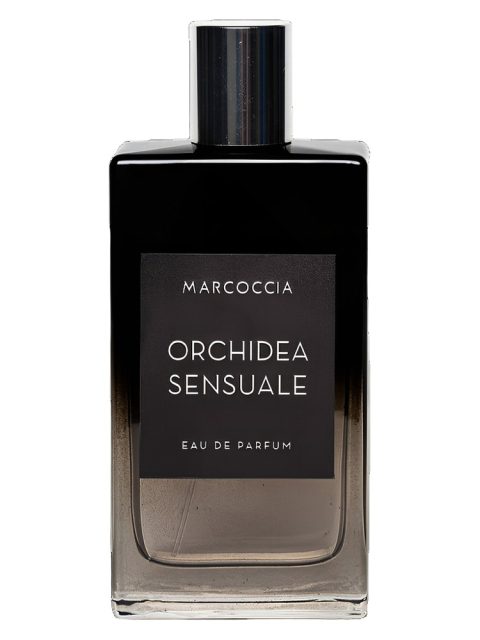 Orchidea Sensuale