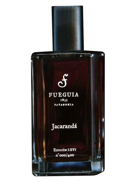 Jacarandá 2016 Edition