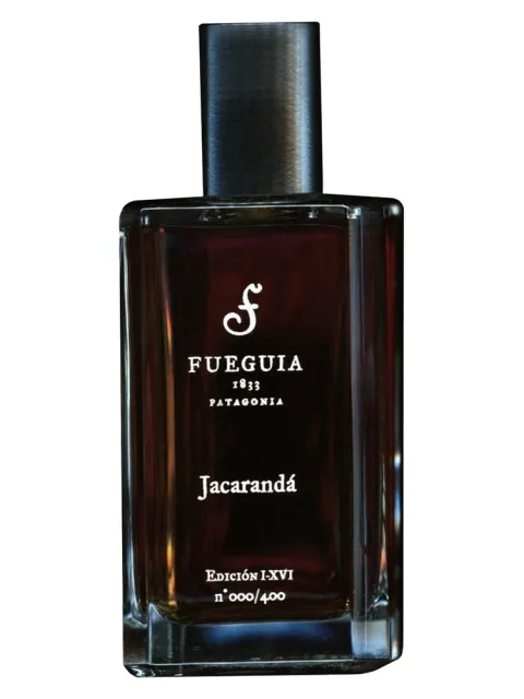 Jacarandá 2016 Edition