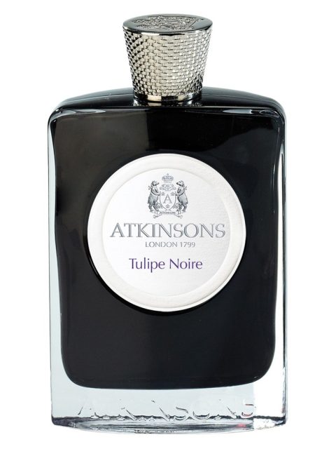 Tulipe Noire