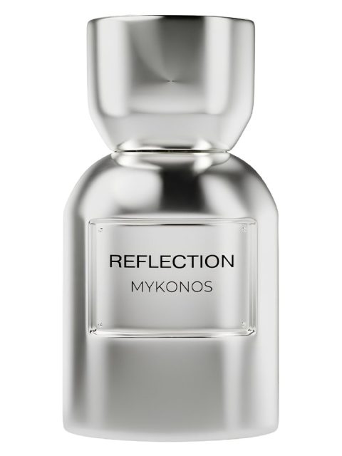 Reflection