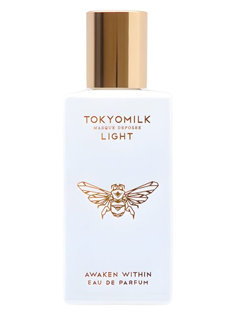 Awaken Within No. 02