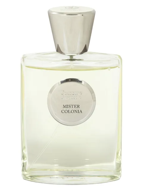 Mister Colonia