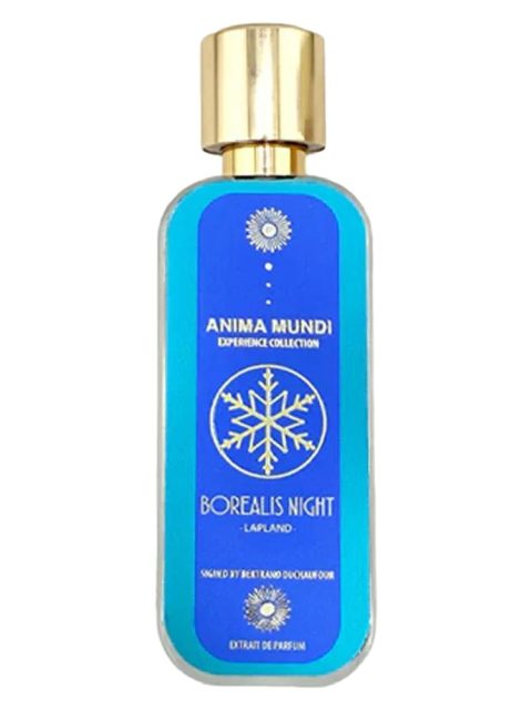 Borealis Night