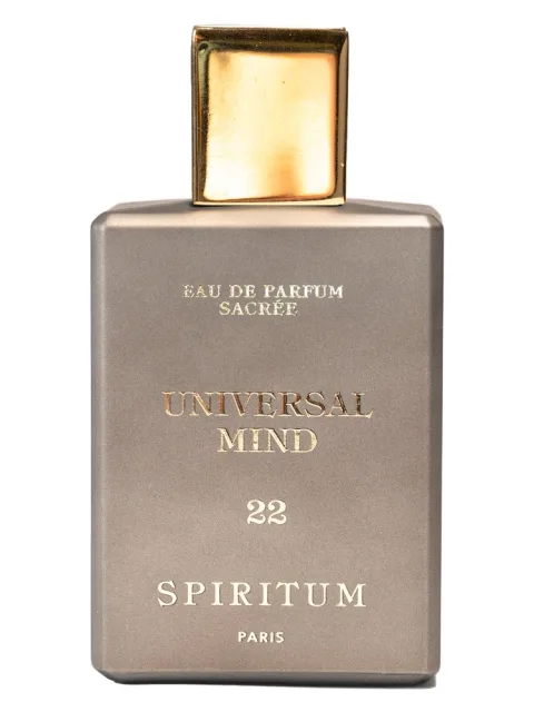 22 Universal Mind