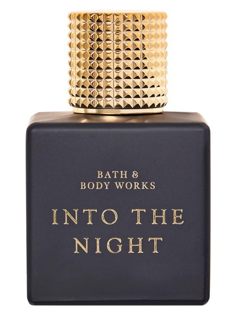 Into the Night