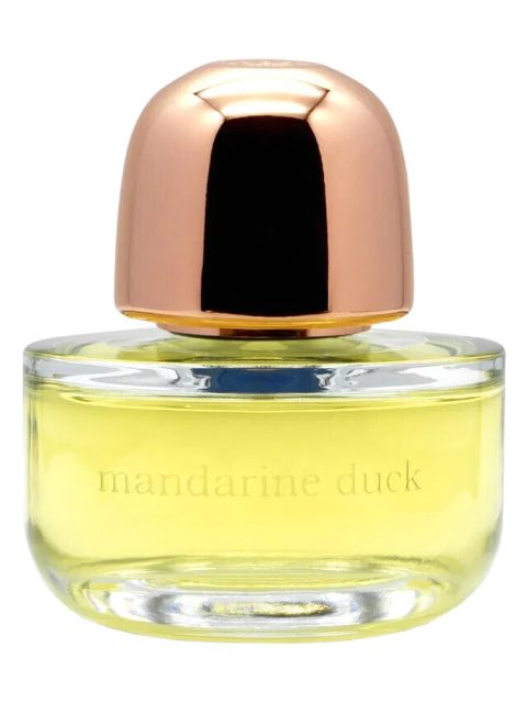 Mandarin Duck