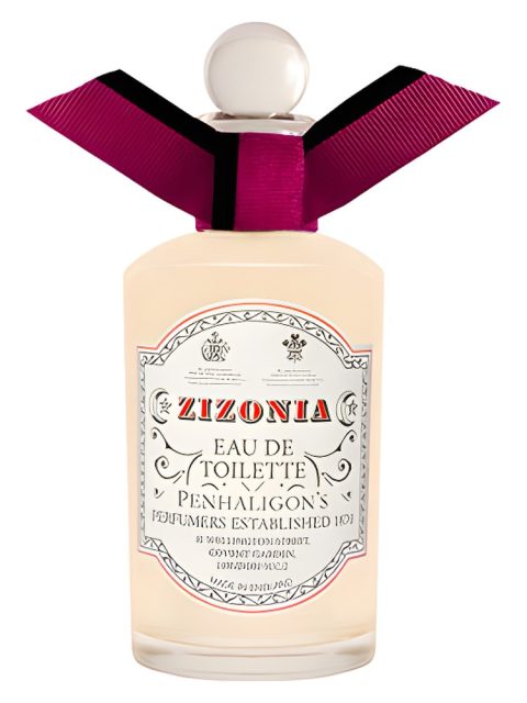 Zizonia
