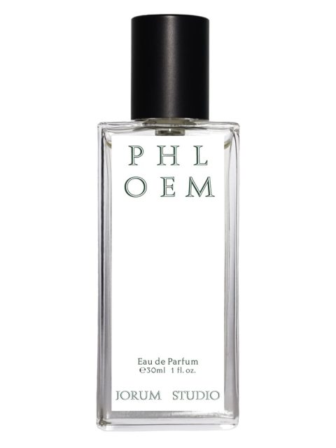 Phloem