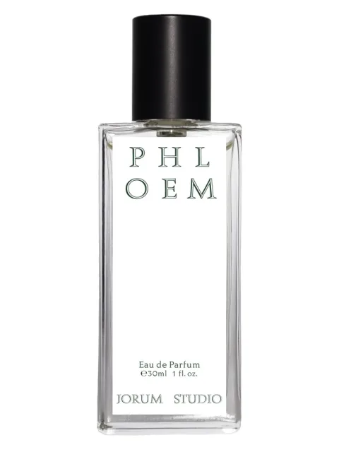 Phloem