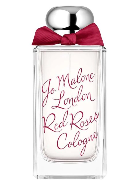 Red Roses Cologne