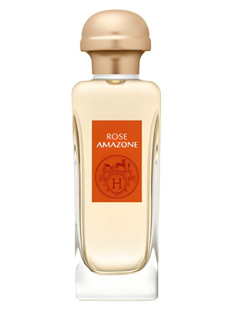 Rose Amazone
