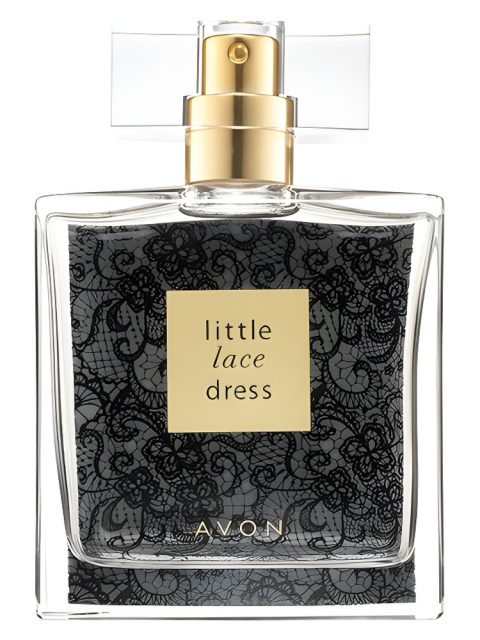 Little Lace Dress
