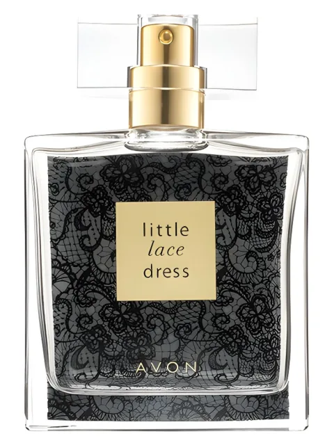 Little Lace Dress