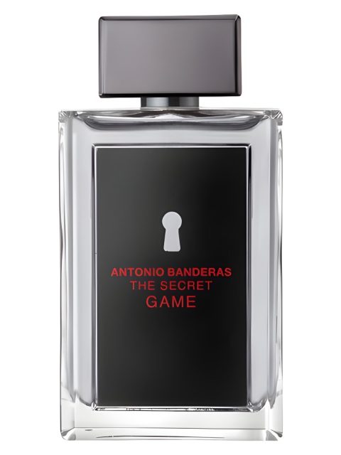 The Secret Game