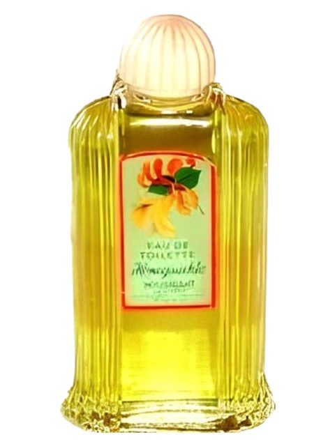 Honeysuckle