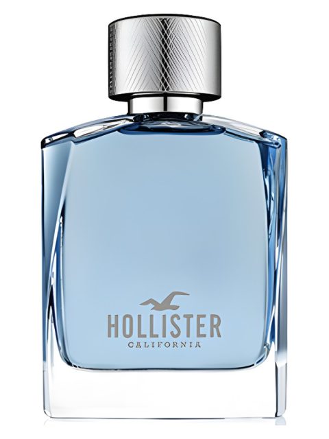 Hollister Wave For Him