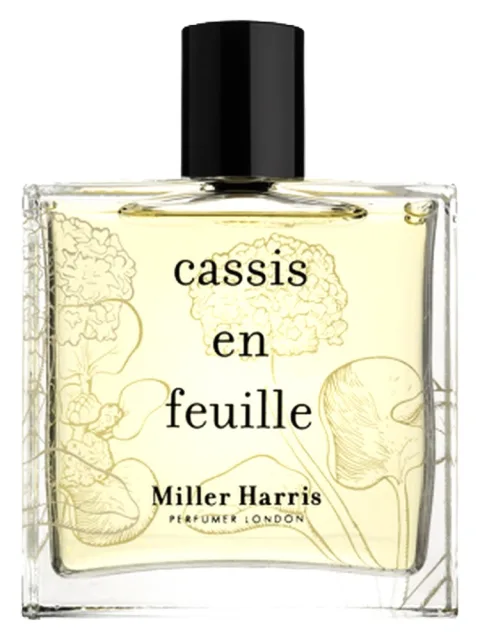 Cassis en Feuille