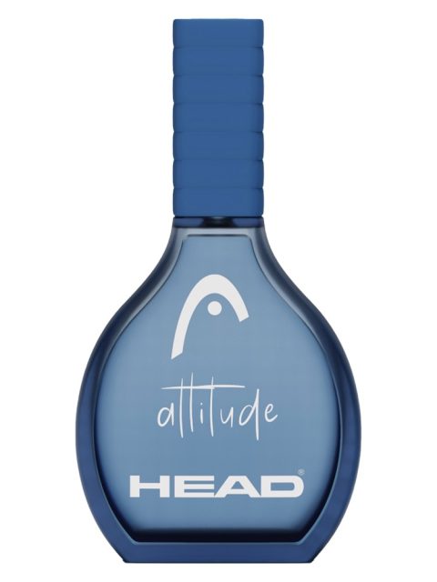 Attitude