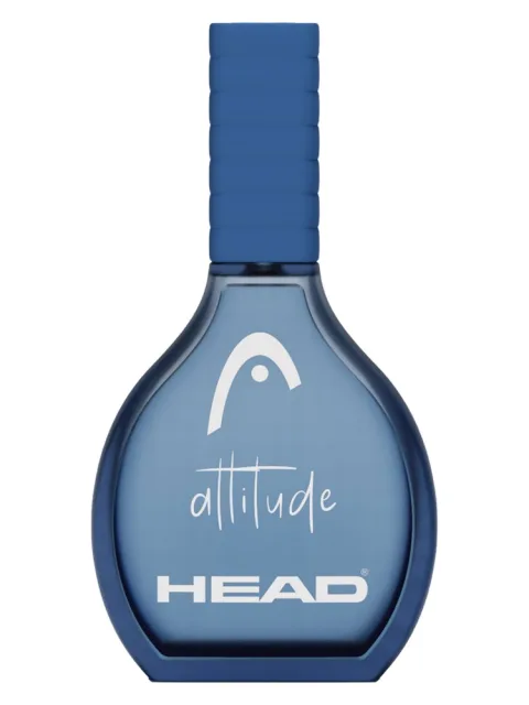 Attitude