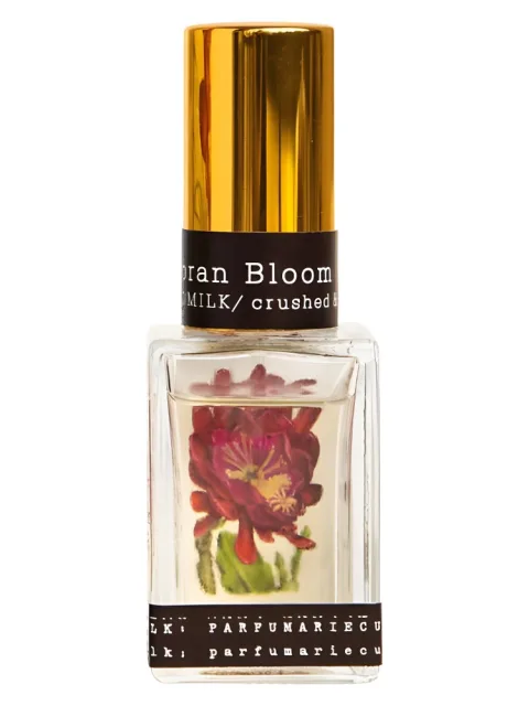 Sonoran Bloom