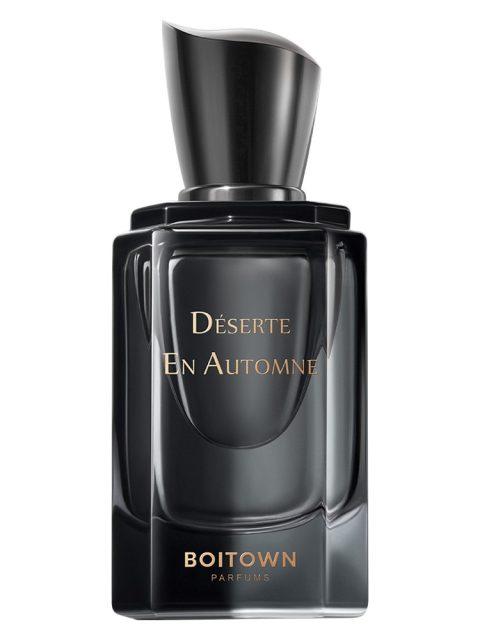 Déserte en Automne 沙秋