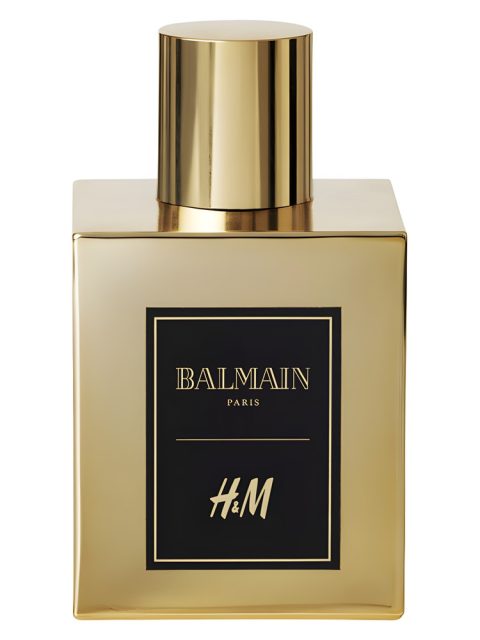 Balmain H&M