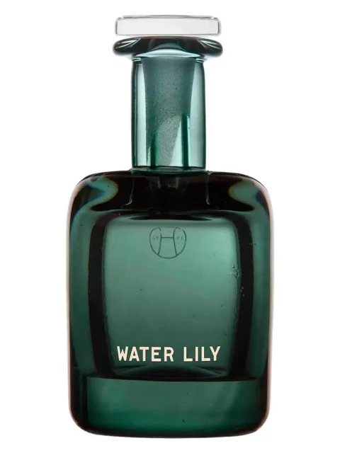 Water Lily